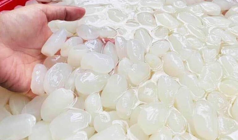 hạt đác tươi chính hãng​ - món ăn từ rau củ - phương pháp sống khỏe - Đặc Sản Đà Lạt - https://dalatfarm.net/hạt