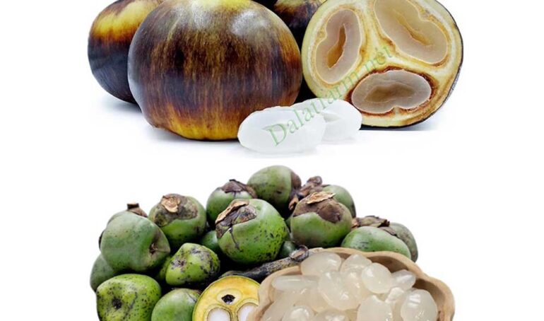 Hạt đác và thốt nốt - món ăn từ rau củ - phương pháp sống khỏe - Đặc Sản Đà Lạt - https://dalatfarm.net/hạt