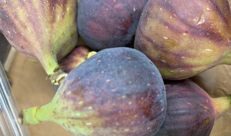 quả sung mỹ Brown Turkey - món ăn từ rau củ - phương pháp sống khỏe - Đặc Sản Đà Lạt - https://dalatfarm.net/