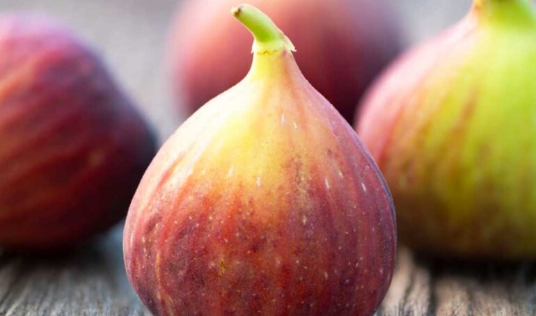 sung mỹ Đà Lạt - món ăn từ rau củ - phương pháp sống khỏe - Đặc Sản Đà Lạt - https://dalatfarm.net/