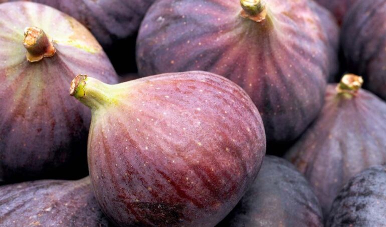 sung mỹ Gò Vấp - món ăn từ rau củ - phương pháp sống khỏe - Đặc Sản Đà Lạt - https://dalatfarm.net/