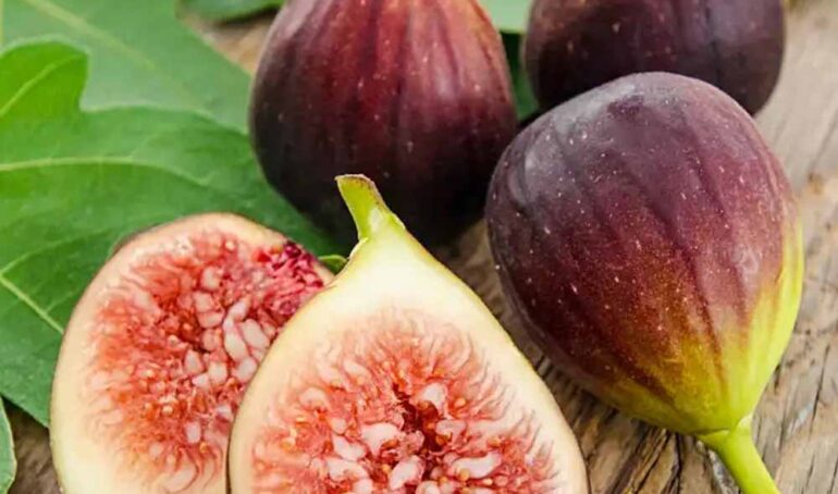 sung mỹ giá rẻ - món ăn từ rau củ - phương pháp sống khỏe - Đặc Sản Đà Lạt - https://dalatfarm.net/