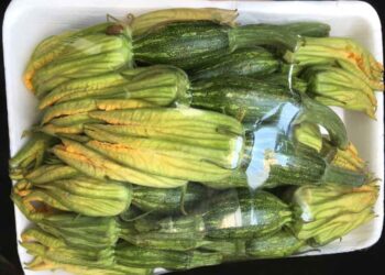 bí nụ giá sỉ - món ăn từ rau củ - phương pháp sống khỏe - Đặc Sản Đà Lạt - https://dalatfarm.net/