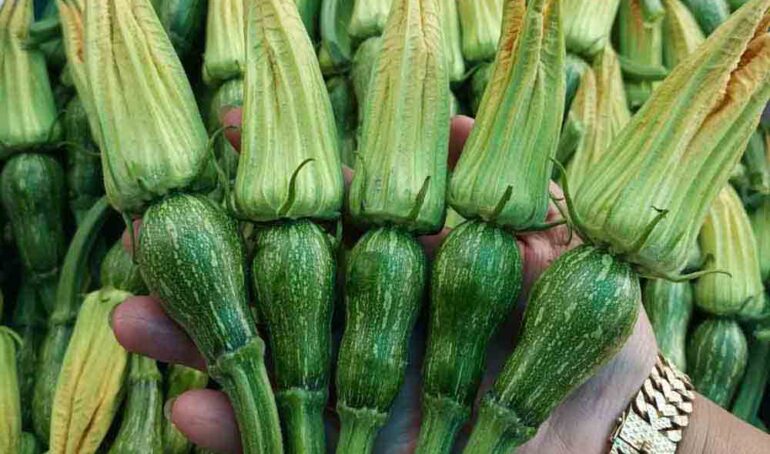 Bông bí nụ Đà Lạt - món ăn từ rau củ - phương pháp sống khỏe - Đặc Sản Đà Lạt - https://dalatfarm.net/