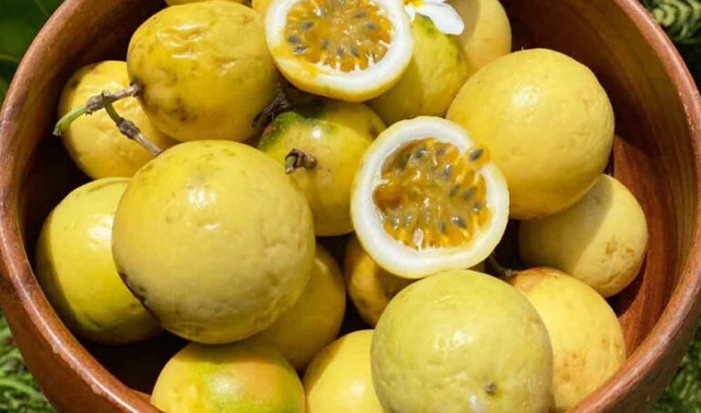 chanh dây hoàng kim - món ăn từ rau củ - phương pháp sống khỏe - Đặc Sản Đà Lạt - https://dalatfarm.net/