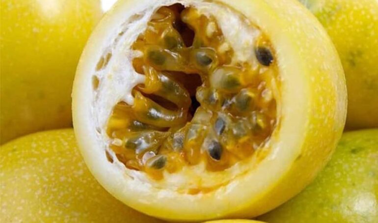 chanh dây hoàng kim hương ổi - món ăn từ rau củ - phương pháp sống khỏe - Đặc Sản Đà Lạt - https://dalatfarm.net/