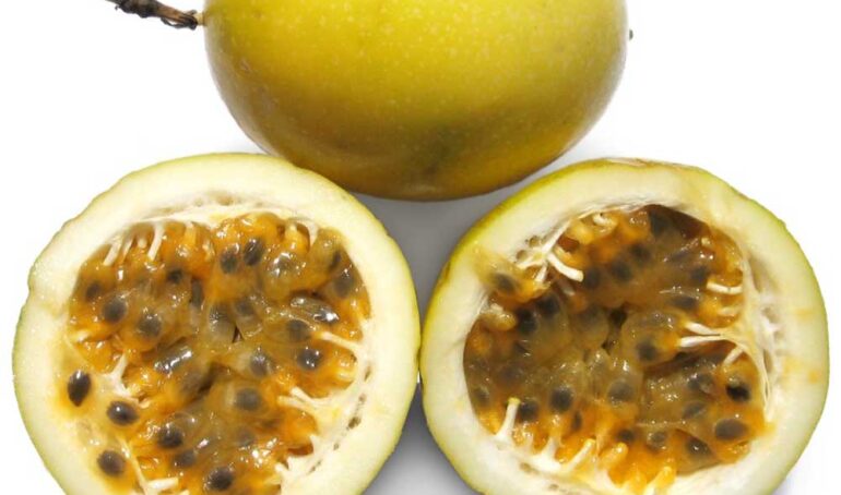 chanh dây hoàng kim tươi - món ăn từ rau củ - phương pháp sống khỏe - Đặc Sản Đà Lạt - https://dalatfarm.net/