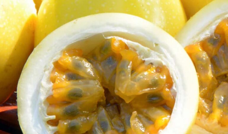 chanh dây mật Đà Lạt - món ăn từ rau củ - phương pháp sống khỏe - Đặc Sản Đà Lạt - https://dalatfarm.net/