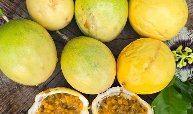 chanh dây mùi ổi - món ăn từ rau củ - phương pháp sống khỏe - Đặc Sản Đà Lạt - https://dalatfarm.net/