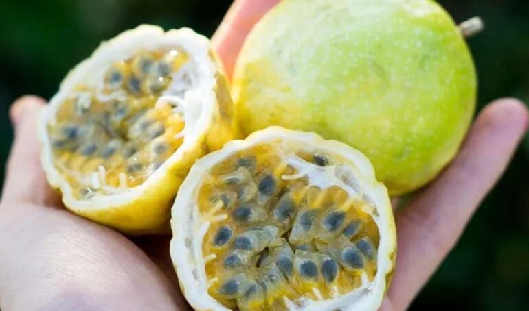 chanh dây ngọt tươi - món ăn từ rau củ - phương pháp sống khỏe - Đặc Sản Đà Lạt - https://dalatfarm.net/