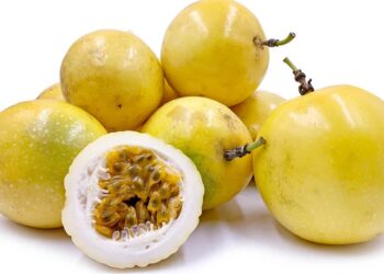 chanh dây vàng giá sỉ - món ăn từ rau củ - phương pháp sống khỏe - Đặc Sản Đà Lạt - https://dalatfarm.net/