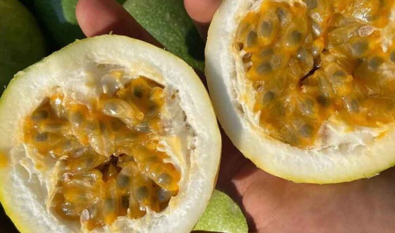 chanh dây vàng mật ong - món ăn từ rau củ - phương pháp sống khỏe - Đặc Sản Đà Lạt - https://dalatfarm.net/