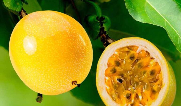 chanh leo hương ổi - món ăn từ rau củ - phương pháp sống khỏe - Đặc Sản Đà Lạt - https://dalatfarm.net/