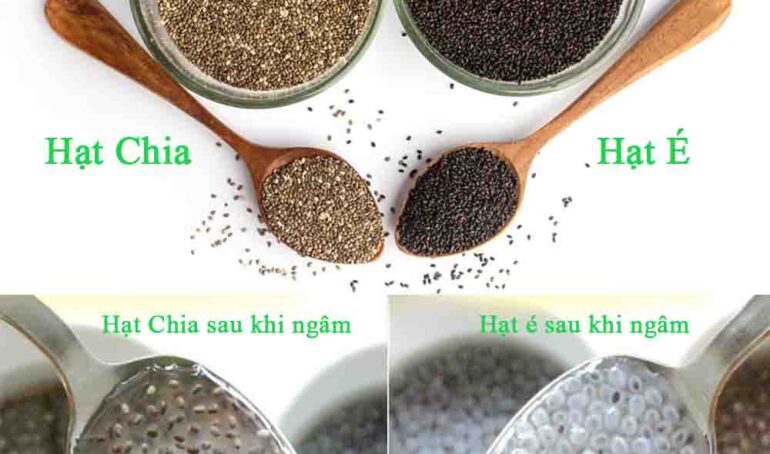 hạt chia và hạt é - món ăn từ rau củ - phương pháp sống khỏe - Đặc Sản Đà Lạt - https://dalatfarm.net/