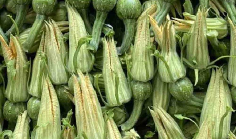 mua bí nụ - món ăn từ rau củ - phương pháp sống khỏe - Đặc Sản Đà Lạt - https://dalatfarm.net/