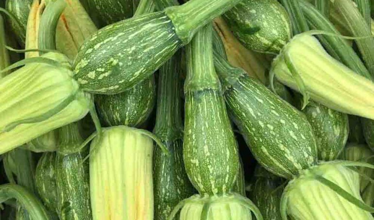 mua bí nụ online - món ăn từ rau củ - phương pháp sống khỏe - Đặc Sản Đà Lạt - https://dalatfarm.net/