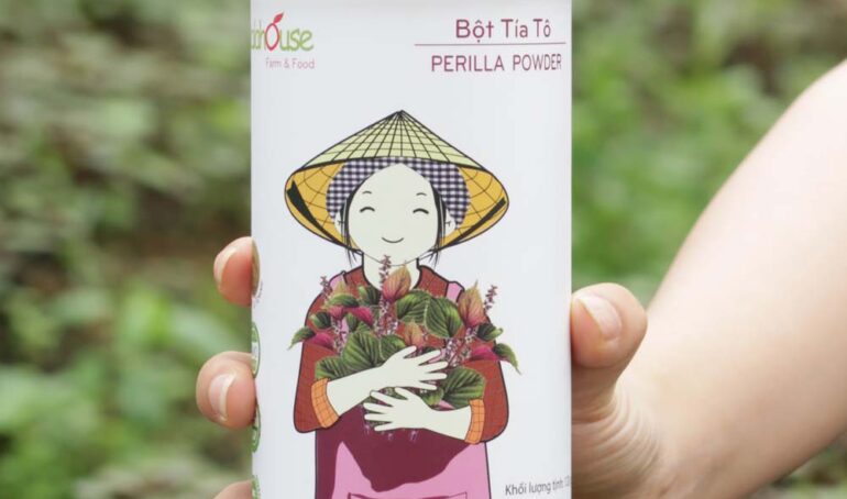 bột rau tía tô nguyên chất - cách làm đẹp tự nhiên- phương pháp sống khỏe - Đặc Sản Đà Lạt - https://dalatfarm.net/