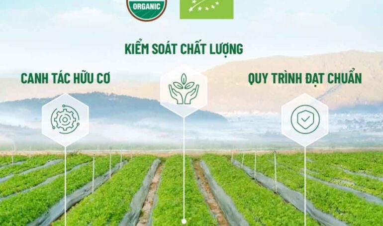 mua bột cần tây - cách làm đẹp tự nhiên- phương pháp sống khỏe - Đặc Sản Đà Lạt - https://dalatfarm.net/
