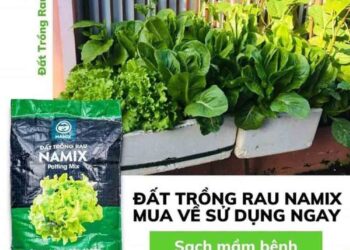 đất trồng rau hỗn hợp - Làm vườn tại nhà - Phương pháp sống khỏe - Cách Làm Vườn - https://dalatfarm.net/