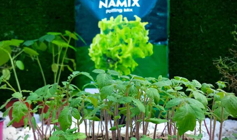 đất trồng rau thùng xốp - Làm vườn tại nhà - Phương pháp sống khỏe - Cách Làm Vườn - https://dalatfarm.net/