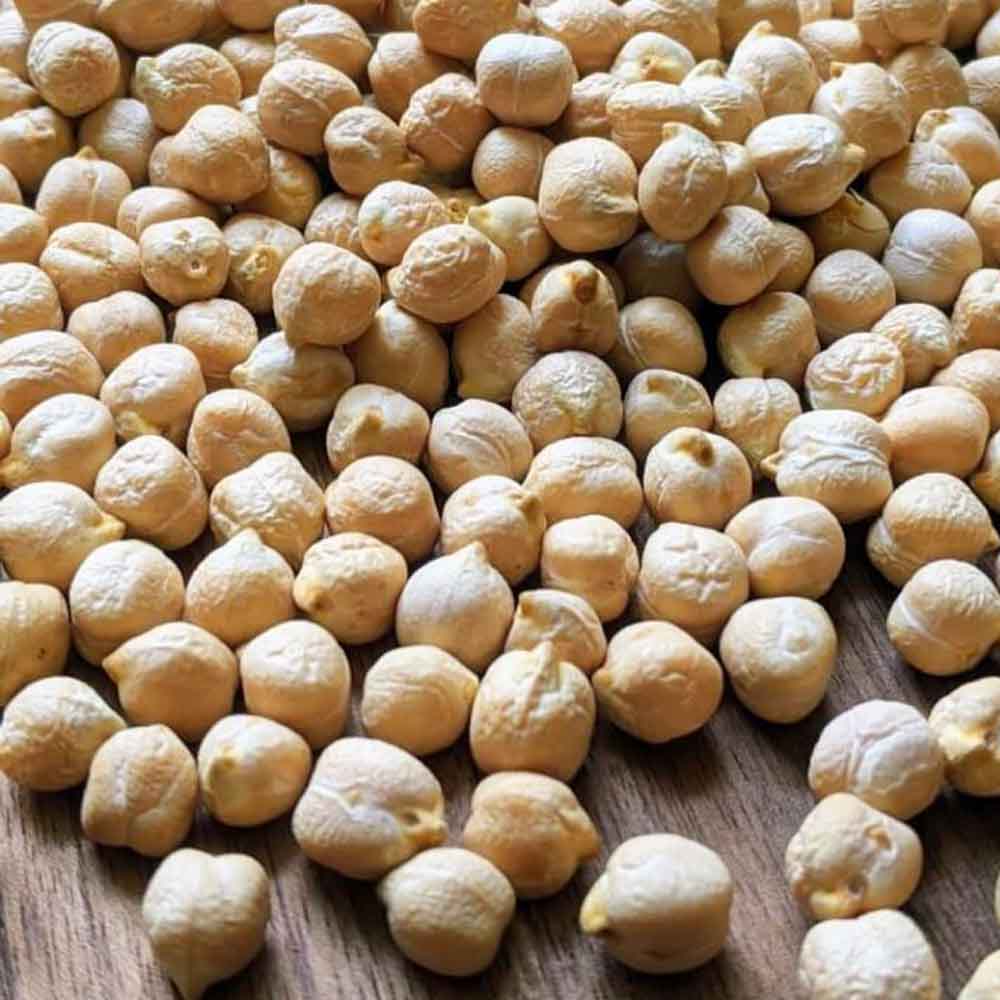 đậu gà chickpea - món ăn từ rau củ - phương pháp sống khỏe - Đặc Sản Đà Lạt - https://dalatfarm.net/