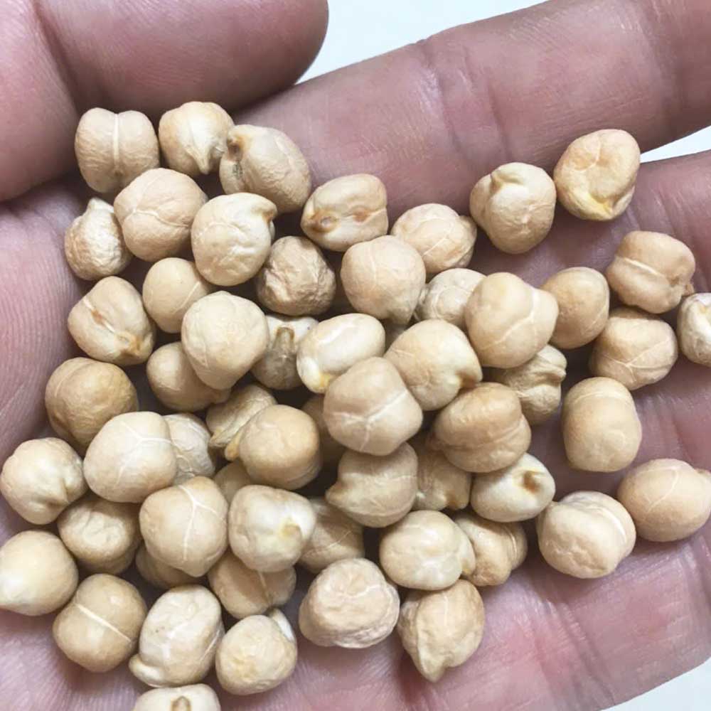 đậu gà hữu cơ - món ăn từ rau củ - phương pháp sống khỏe - Đặc Sản Đà Lạt - https://dalatfarm.net/