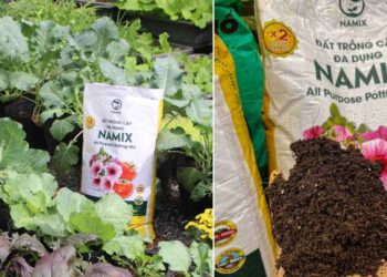 giá đất trồng rau - Làm vườn tại nhà - Phương pháp sống khỏe - Cách Làm Vườn - https://dalatfarm.net/