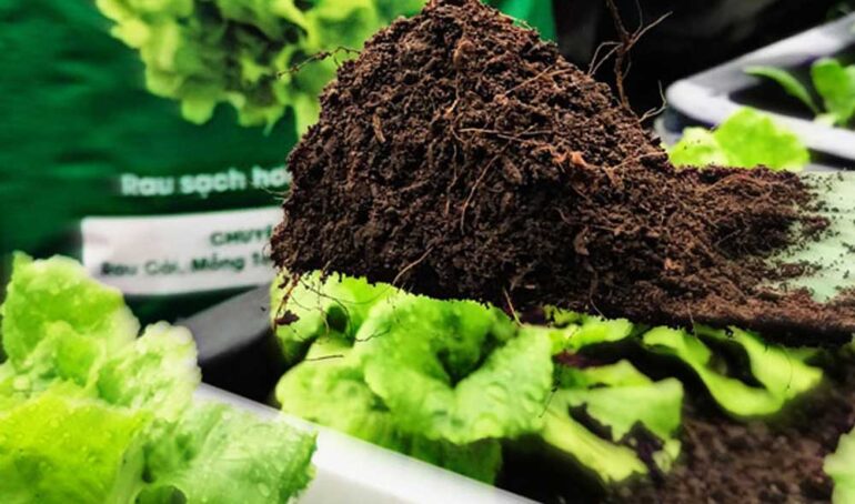hỗn hợp đất trồng rau - Làm vườn tại nhà - Phương pháp sống khỏe - Cách Làm Vườn - https://dalatfarm.net/