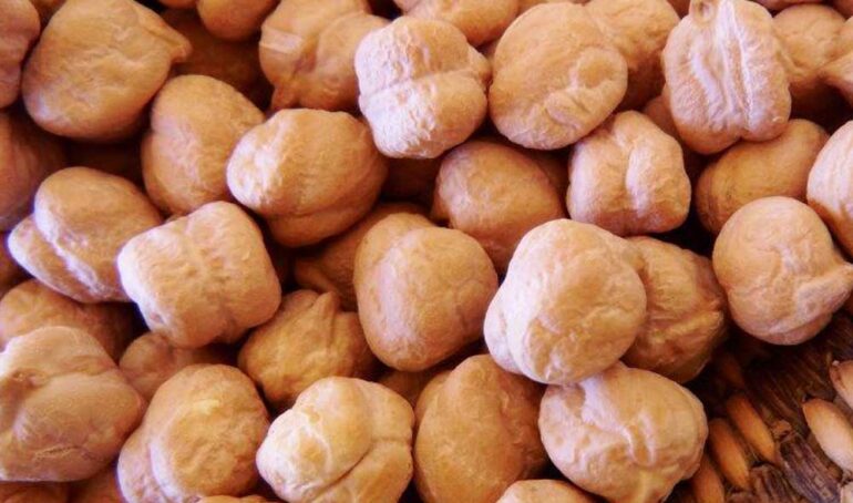 mua đậu gà nguyên hạt - món ăn từ rau củ - phương pháp sống khỏe - Đặc Sản Đà Lạt - https://dalatfarm.net/