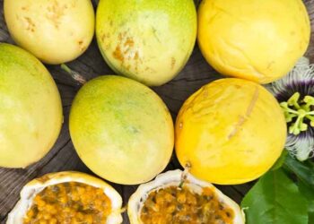 chanh dây hoàng kim mật ong - món ăn từ rau củ - phương pháp sống khỏe - Đặc Sản Đà Lạt - https://dalatfarm.net/