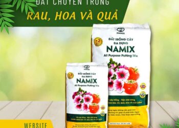 đất trồng rau Thủ Đức - Làm vườn tại nhà - Phương pháp sống khỏe - Cách Làm Vườn - https://dalatfarm.net/