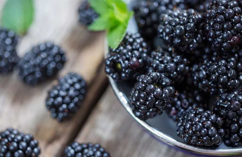 quả phúc bồn tử Đà Lạt - Hoa Quả Tươi - Đặc Sản ĐàLạt - https://dalatfarm.net/
