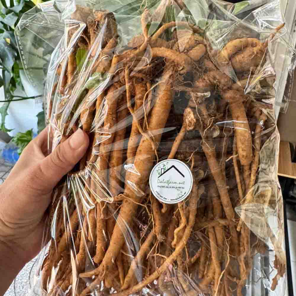 rễ bồ công anh tươi - Rau Củ Quả Tươi - Rau Củ Quả Sạch - Đặc Sản Đà Lạt - https://dalatfarm.net/
