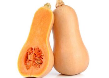 Bí hạt đậu hữu cơ Đà Lạt tươi ngon tại Dalat Farm