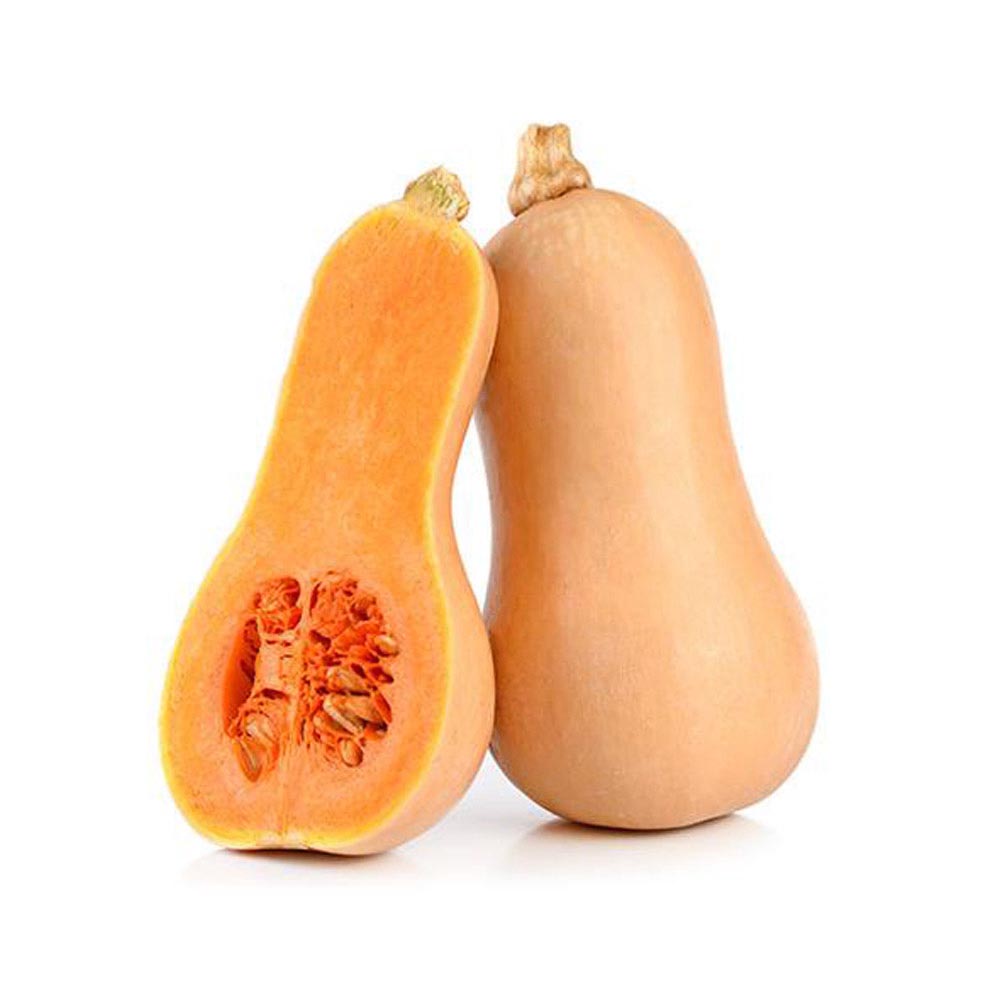 Bí hạt đậu hữu cơ Đà Lạt tươi ngon tại Dalat Farm