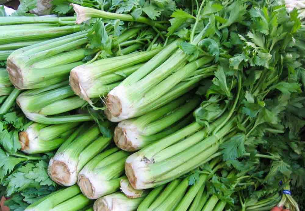 Đóng gói cần tây Đà Lạt giao nhanh TP.HCM Đóng gói cần tây Đà Lạt giao nhanh TP.HCM