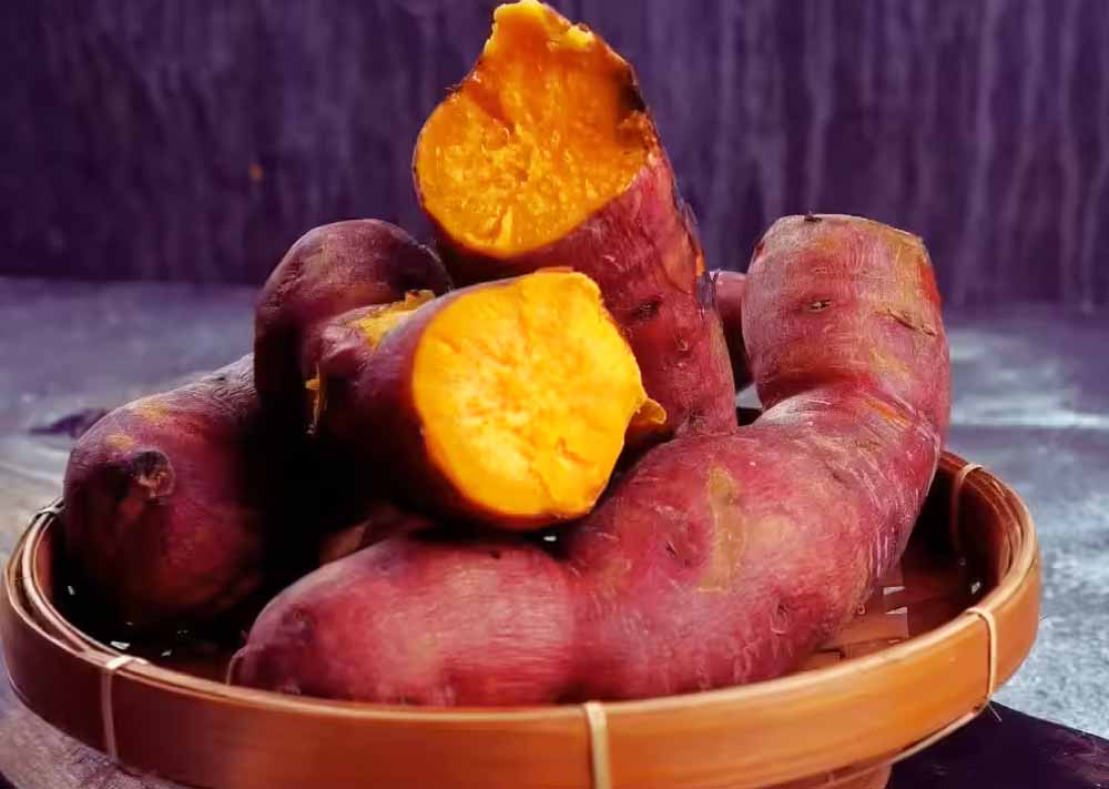 Khoai lang Đà Lạt bán tại TP.HCM