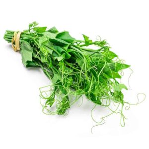 Đọt su Đà Lạt tươi