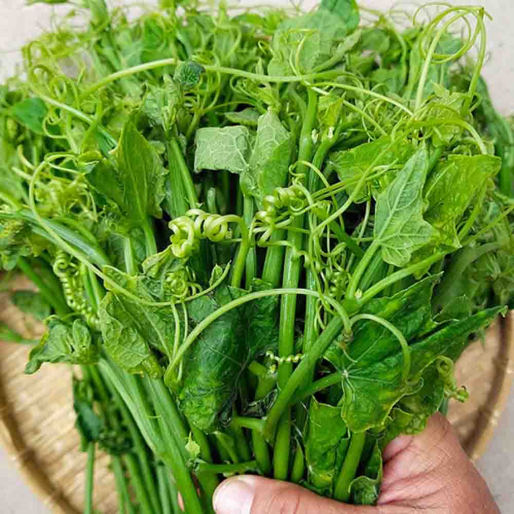Cách sơ chế đọt su su